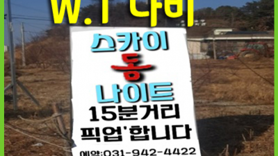 야당스카이돔나이트 야당스카이돔나이트 ▣ 오히려 유흥의 꽃은 혼자입니다 야당바